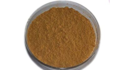 Poudre d'extrait d'agaricus Blazei Murill biologique