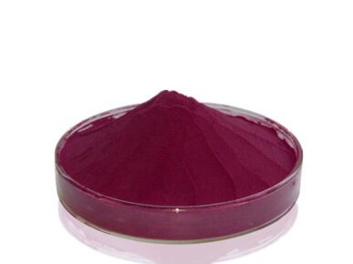 Poudre de jus de myrtille biologique