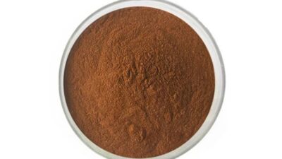 Extrait de thé noir biologique en poudre