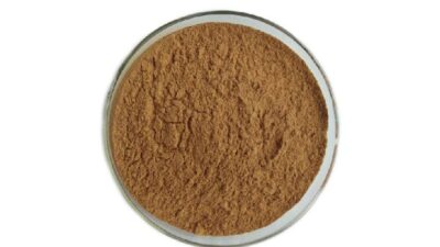 Extrait de fleur de tilleul biologique en poudre