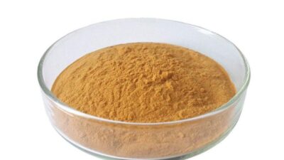 Extrait de thé Oolong biologique en poudre