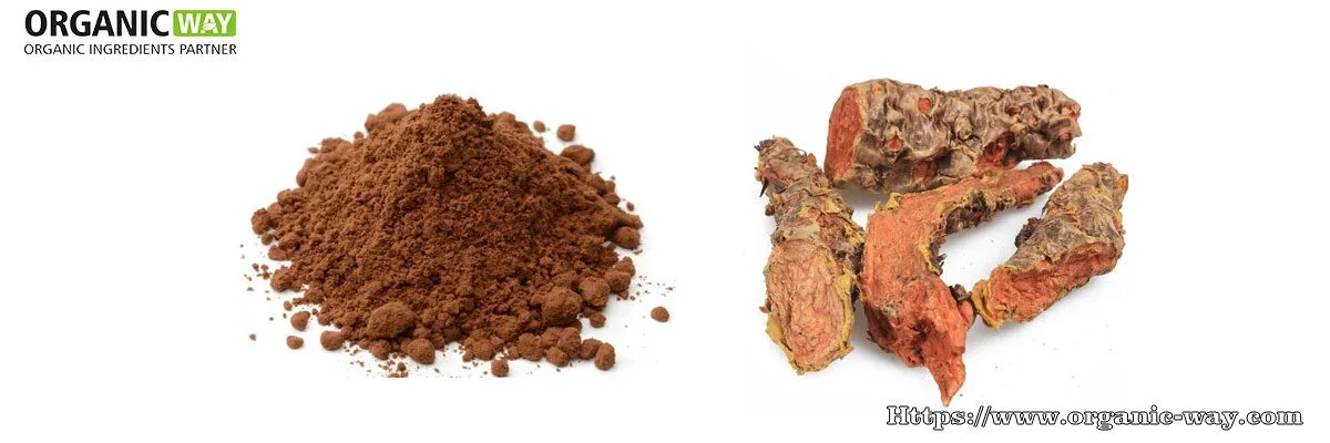 Poudre D'Extrait De Rhodiola Rosea Organic Rhodiola Rosea Extract Powder