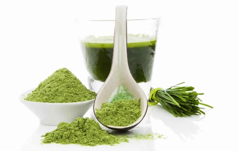 La Poudre D'Herbe D'Orge Biologique Magique Organic-Wheat-Grass-Powder