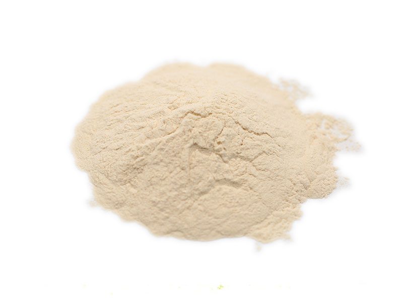 Poudre d'extrait de ginseng américain biologique Extrait de ginseng américain biologique en poudre