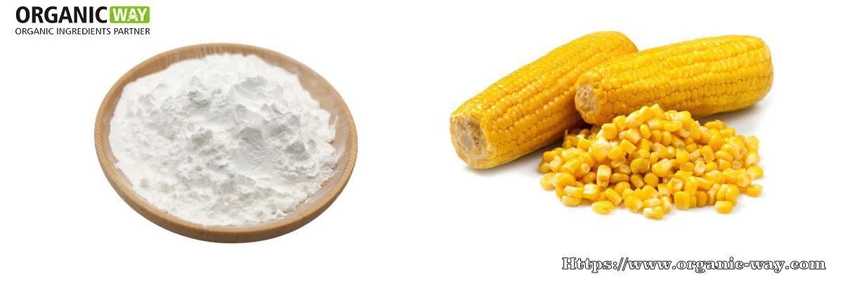 Amidon De Maïs Biologique En Poudre Organic-Cornstarch