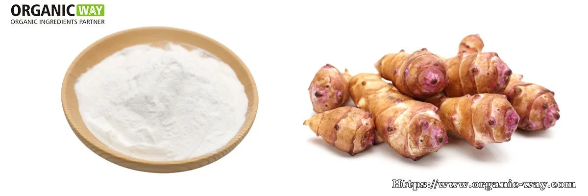 Poudre D'Inuline Biologique Organic-Inulin