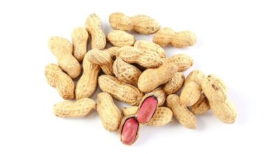 Arachide biologique