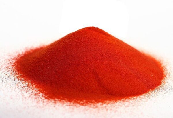 tomate en poudre bio