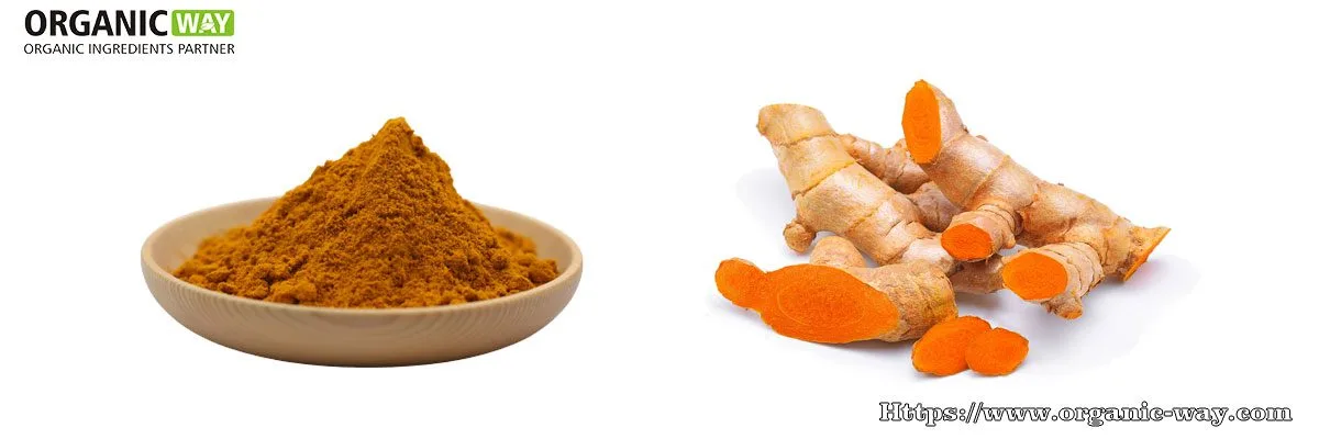 Poudre D'Extrait De Curcuma Biologique Extrait De Curcuma Biologique