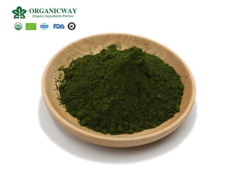 11 secrets inconnus de la chlorella - l'efficacité et la fonction des comprimés de chlorella chlorella powder