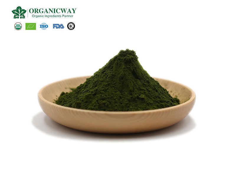 Chlorella, une émeraude comestible douée par la nature chlorella powder