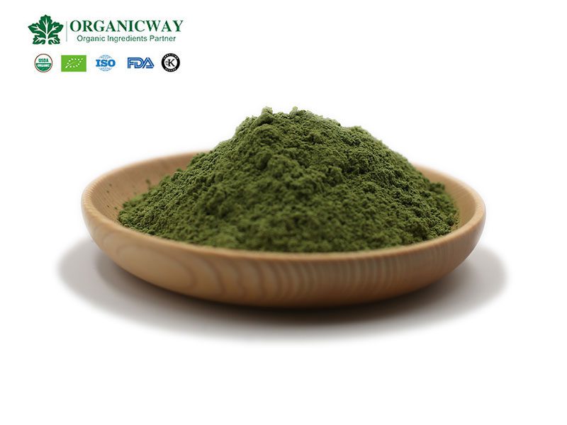 Quels sont les avantages pour la santé de la poudre d'herbe de blé? wheatgrass powder