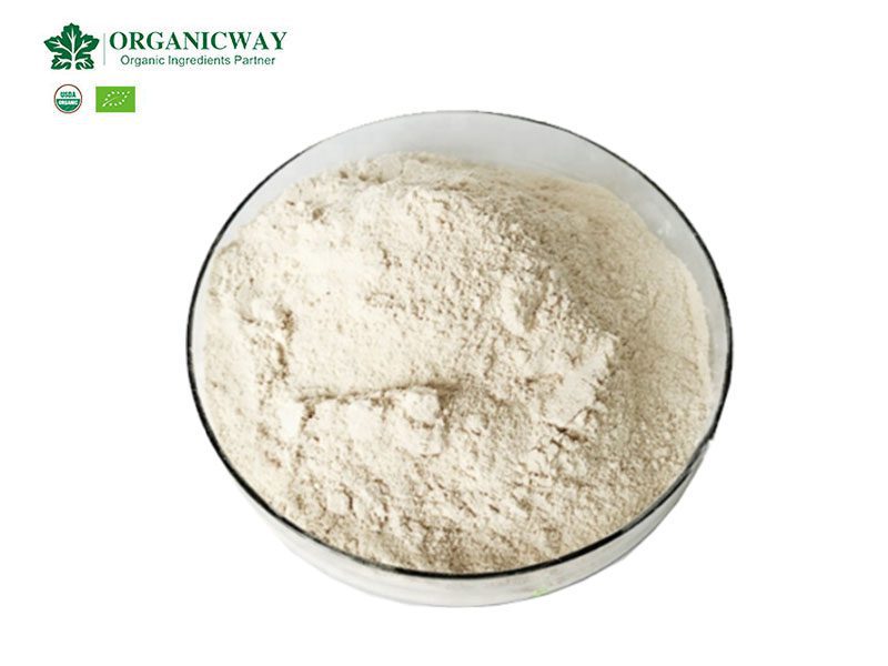La valeur nutritive de la poudre de protéine de soja biologique organic soy protein nutrition facts