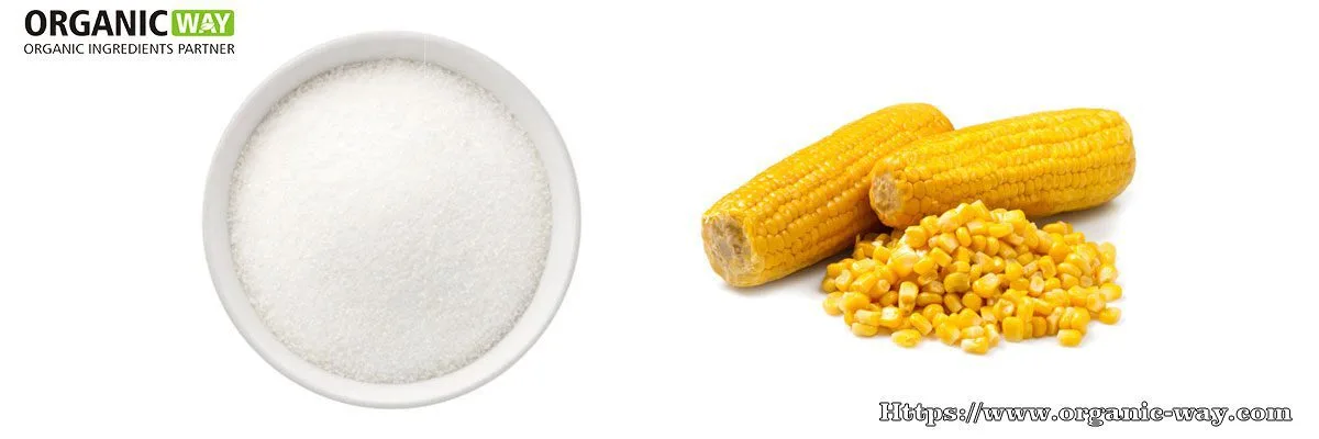 Dextrine Résistante Biologique Dextrine Organique Résistante