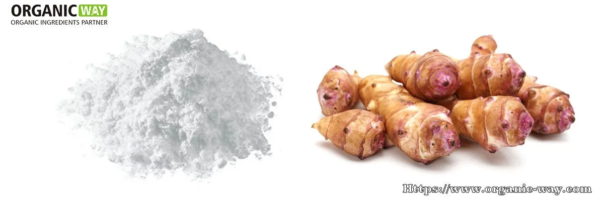 Fructooligosaccharides (Fos) Organic-Fructooligosaccharide-Powder