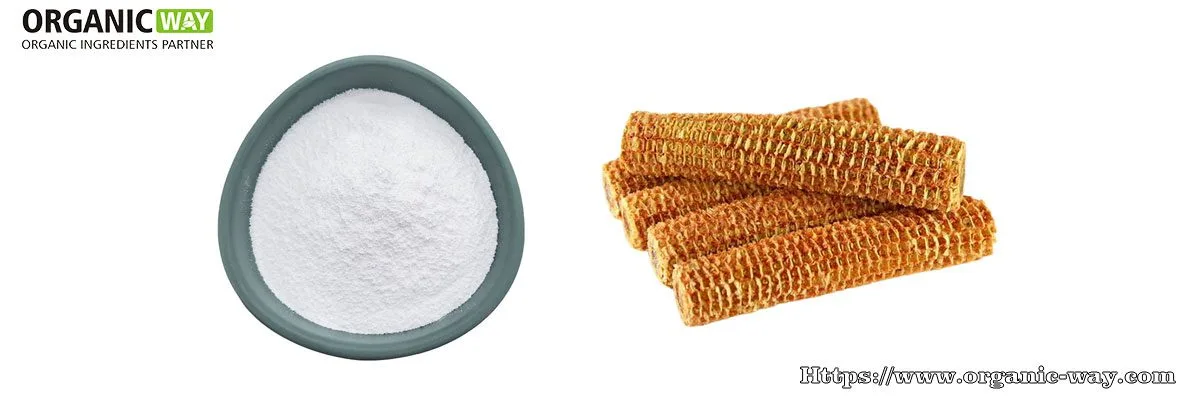 Xylooligosaccharides Organic Xylooligosaccharides Powder