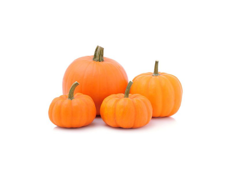 Expliquer en détail l'efficacité et la fonction de la protéine de graine de citrouille biologique pumpkin