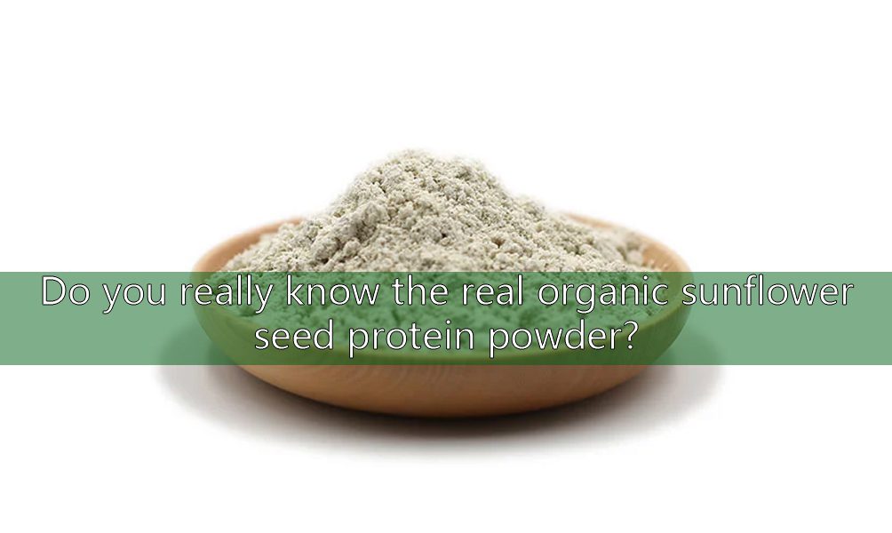 Connaissez-vous vraiment la véritable poudre de protéines de graines de tournesol bio ? organic sunflower seed protein powder