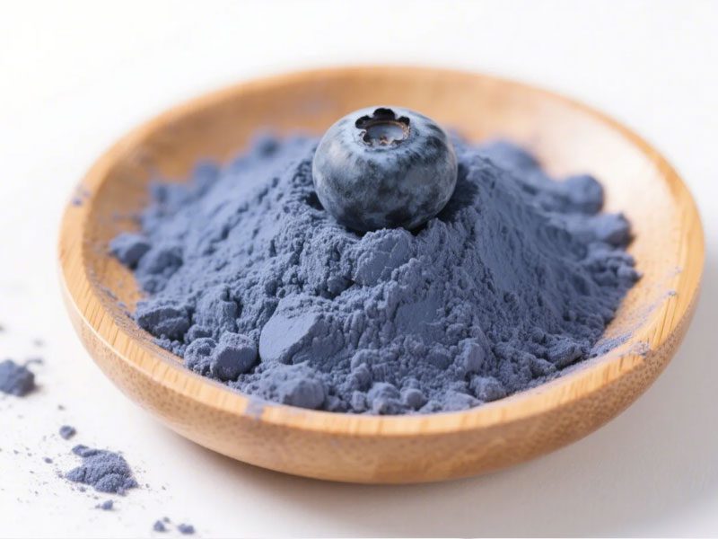 Poudre de Myrtille Bio organic blueberry powder