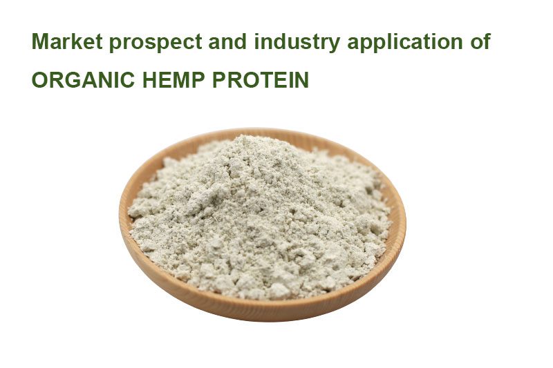 Pourquoi la protéine de chanvre biologique devient un choix populaire pour les produits de nutrition et de santé à base de plantes Organic hemp protein is a type of protein powder that is derived from organic hemp seeds. Hemp protein is a complete protein, meaning it contains all of the essential amino acids that the body cannot produce on its own. It is also rich in fiber, healthy fats, and minerals.
