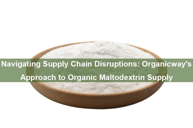 Naviguer dans les perturbations de la chaîne d'approvisionnement : l'approche d'Organicway en matière d'approvisionnement en maltodextrine biologique Navigating Supply Chain Disruptions: Organicway's Approach to Organic Maltodextrin Supply