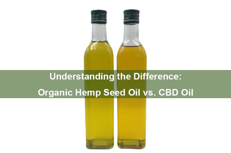 Den Unterschied verstehen: Bio-Hanfsamenöl vs. CBD-Öl