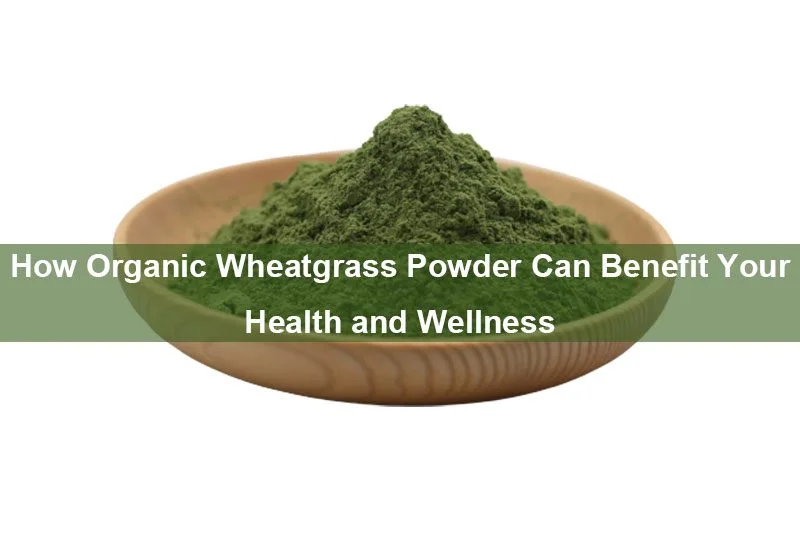 Comment La Poudre D’herbe De Blé Biologique Peut Bénéficier À Votre Santé Et À Votre Bien-Être How Organic Wheatgrass Powder Can Benefit Your Health And Wellness