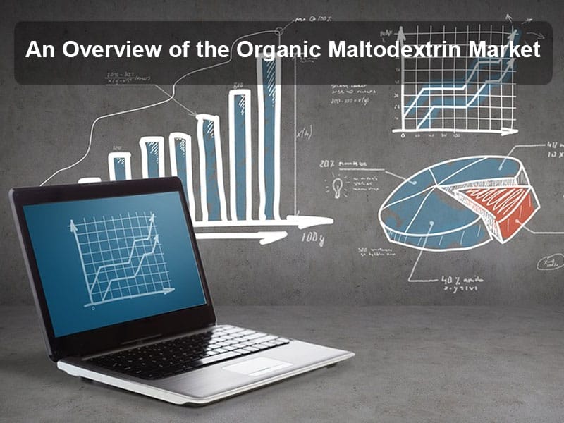 Un aperçu du marché de la maltodextrine biologique : taille, segments, tendances et moteurs Un aperçu du marché de la maltodextrine biologique : taille, segments, tendances et moteurs