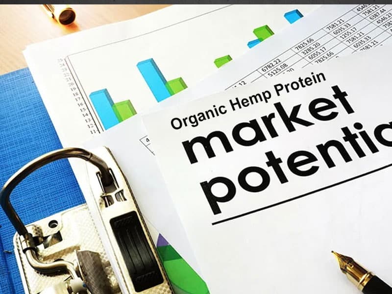 Protéine de chanvre biologique : un super aliment à base de plantes avec un énorme potentiel de marché Protéine de chanvre biologique : un super aliment à base de plantes avec un énorme potentiel de marché