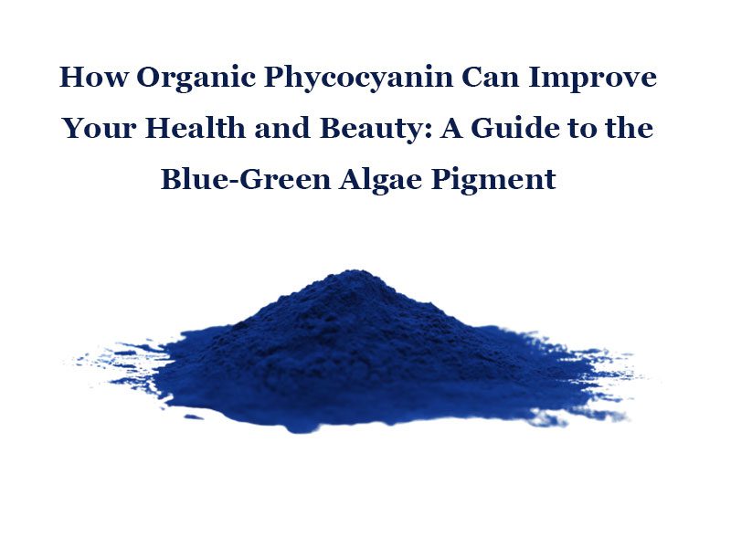 Comment la phycocyanine organique peut améliorer votre santé et votre beauté : un guide sur le pigment d'algue bleu-vert Comment la phycocyanine organique peut améliorer votre santé et votre beauté : un guide sur le pigment d'algue bleu-vert