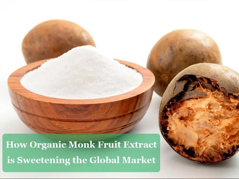 Comment L'Extrait De Fruit De Moine Bio Adoucit Le Marché Mondial How Organic Monk Fruit Extract Is Sweetening The Global Market