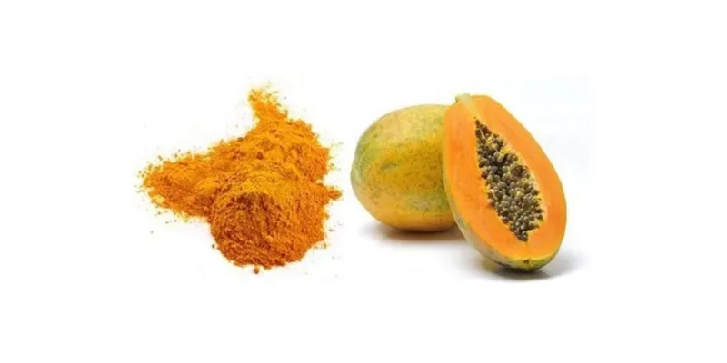 Explorer La Polyvalence Et Les Bienfaits De La Poudre De Papaye Bio Dans Les Applications Culinaires Organic Papaya Powder