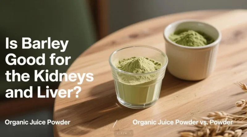 L'Orge Est-Elle Bonne Pour Les Reins Et Le Foie ? Poudre De Jus Biologique Vs Poudre Is Barley Good For The Kidneys And Liver? Organic Juice Powder Vs. Powder