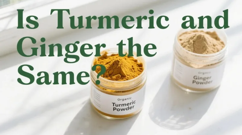 Le Curcuma Et Le Gingembre Sont-Ils Identiques ? Poudre De Curcuma Biologique Vs Poudre De Gingembre, Décodées Is Turmeric And Ginger The Same