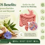 Les FOS Bio : Valeur Nutritionnelle des Fructooligosaccharides et leurs Applications