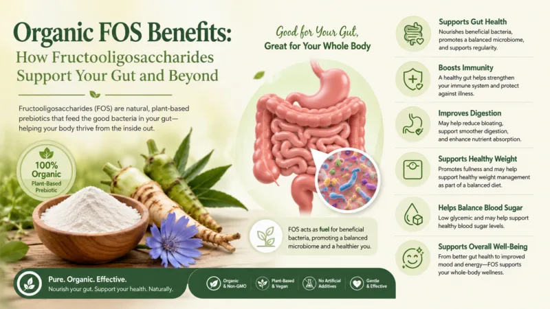 Bienfaits Des Fos Bio : Comment Les Fructooligosaccharides Soutiennent Votre Intestin Et Au-Delà Organic Fos Benefits: How Fructooligosaccharides Support Your Gut And Beyond