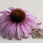 Echinacea purpurea en poudre : guide d&rsquo;achat