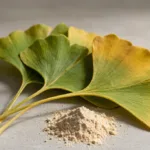 Poudre d&rsquo;extrait de Ginkgo Biloba : un guide d&rsquo;achat sur les bienfaits, les spécifications et la formulation